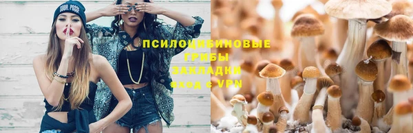 спиды Алзамай