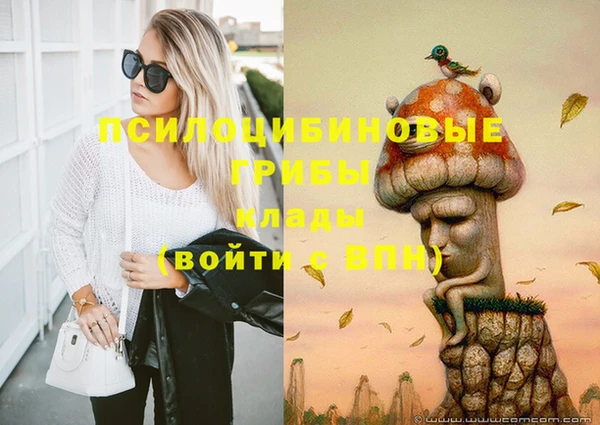меф Алексин