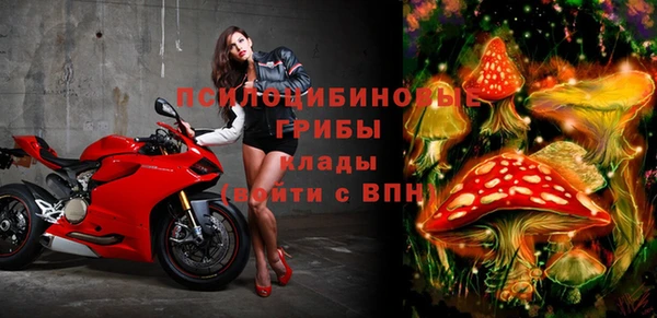 спиды Алзамай